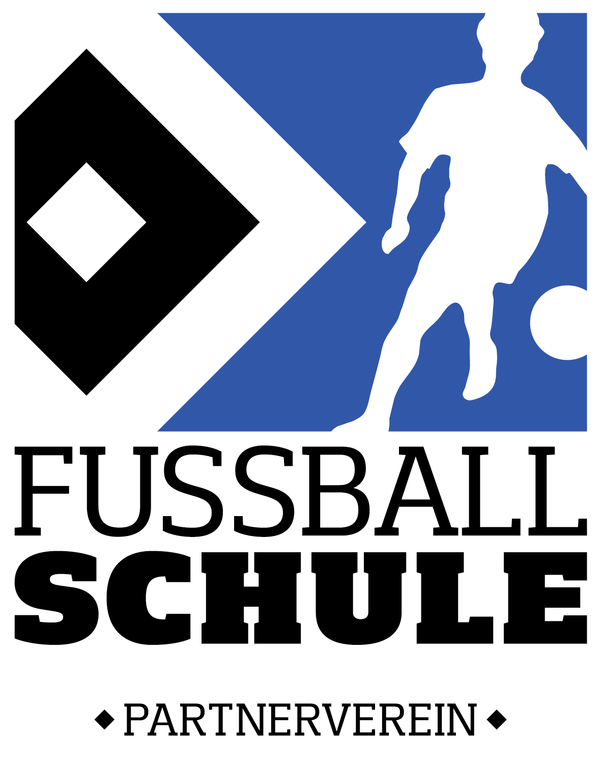 Logo-HSV